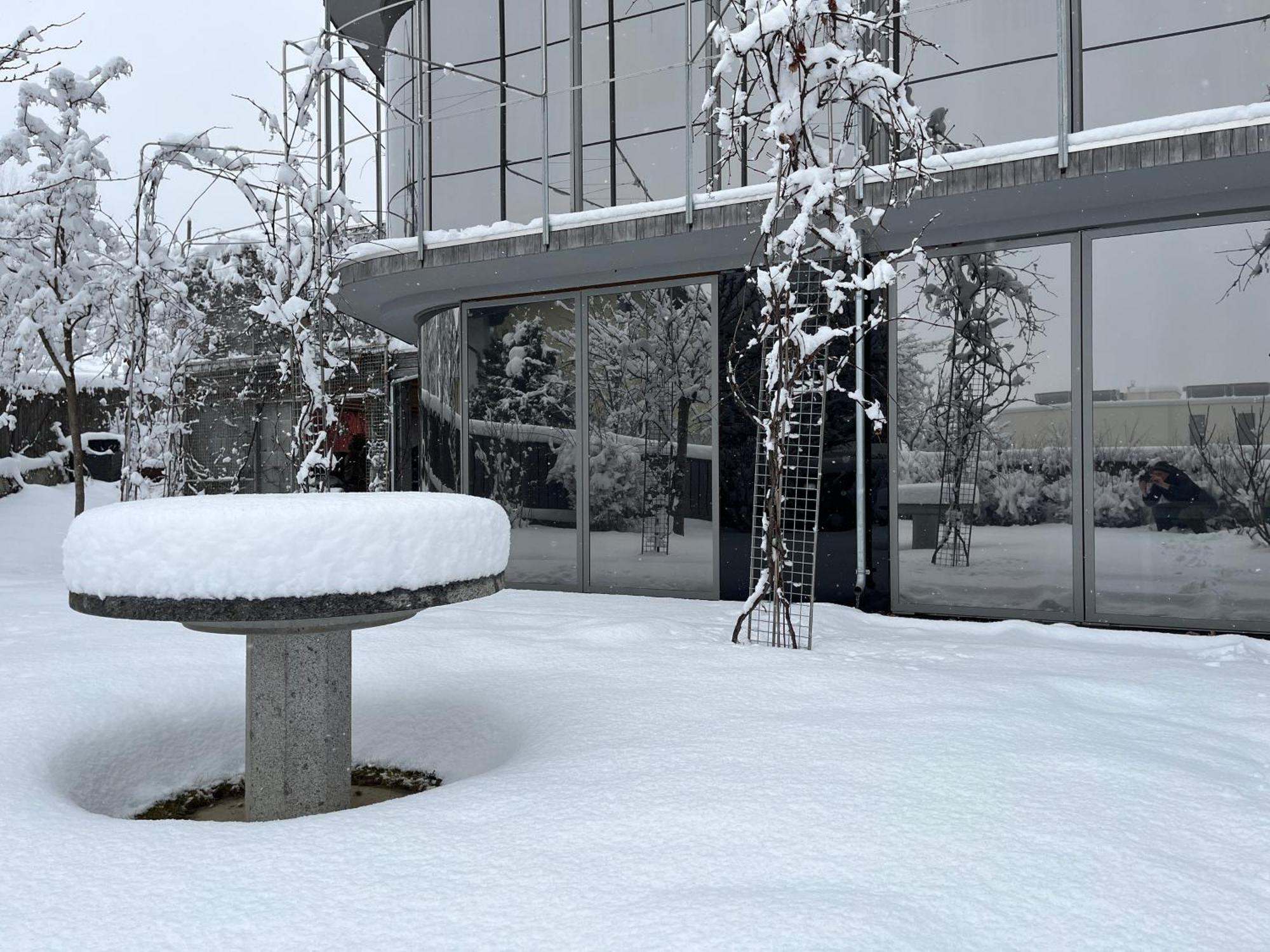 Holidayhome Omyxl Innsbruck Bagian luar foto